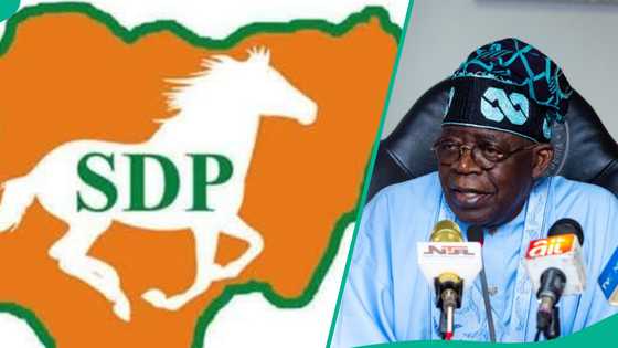 Jam'iyyar SDP ta zo da sabon shiri, ta saɓawa Atiku da El Rufai kan kifar da Tinubu a 2027