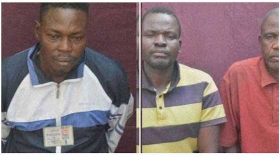 Boko Haram: Photos of abducted policeman, civil servants in Borno surfaces online