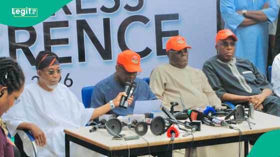 2027 elections: INEC opposes bid to deregister ADC, gives reason