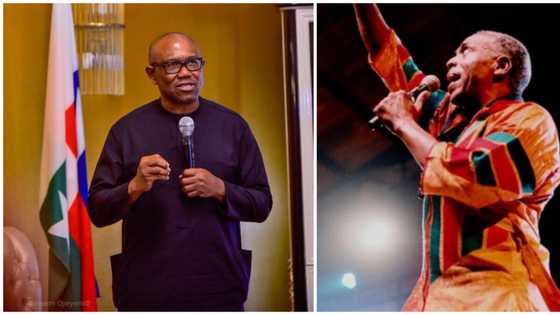 "They threatened to burn down the shrine": Femi Kuti speaks up as Peter Obi supporters come after him, family