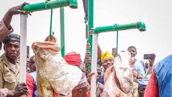 Baje kolin gasar kamun kifi ta Argungu a jihar Kebbi (Hotuna)