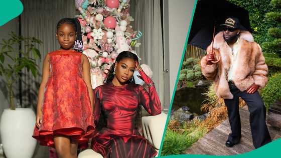 Davido's alleged ally shares why singer wants joint custody, makes allegation against Sophia Momodu