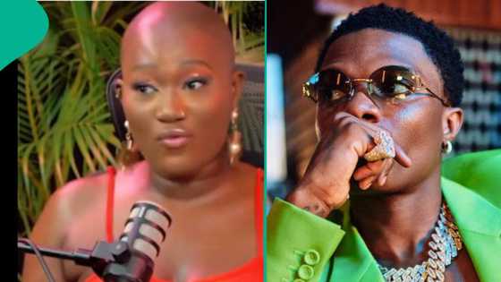 "Wizkid is immature, childish and a clout chaser": Lady knocks singer over recent actions