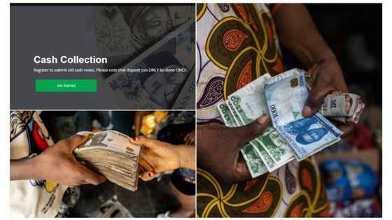 How to track deposit of old naira notes on CBN portal as bank workers deny shut Down report