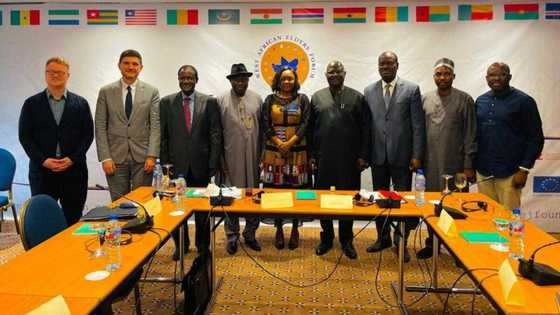 Jonathan, Obasanjo other West African leaders call for strengthening of democratic institutions