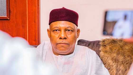 Muslim-Muslim ticket: Shettima finally reveals 2023 voting master strategy