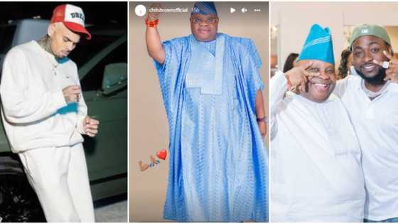 "He really loves OBO": Reactions as US singer Chris Brown congratulates Davido's uncle Senator Adeleke