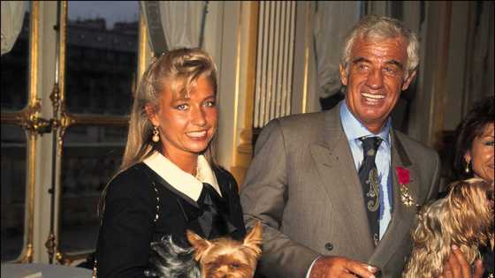 Que devient Natty Tardivel, l’ex-femme de Jean-Paul Belmondo ?