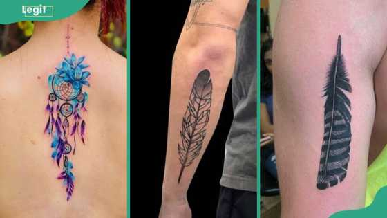 Feather tattoo meaning, history, and 15 unique designs for your next piece