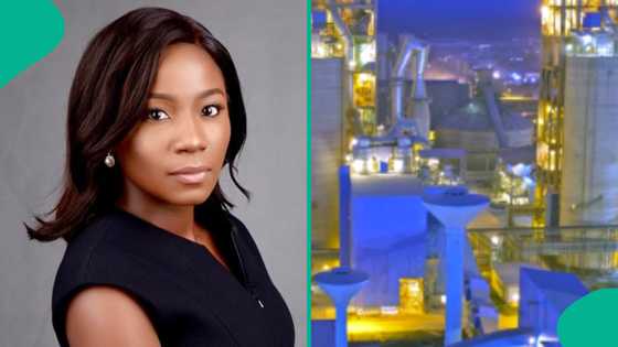 President Tinubu’s appointee reacts to new oil and gas project in Nigeria by Shell company