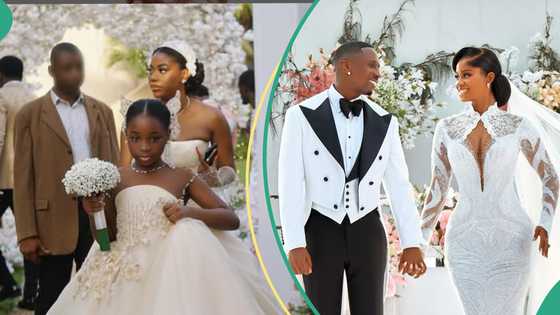 JP2025: Sophia Momodu opens up about Priscilla Ojo and Juma Jux’s wedding, netizens react