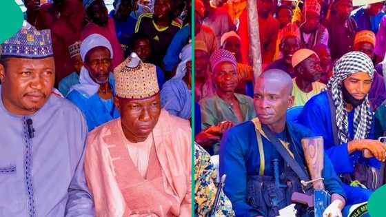 Katsina: Yan siyasa, sarakuna sun zauna da yan bindiga, an kafa sharuda 20 na zaman lafiya