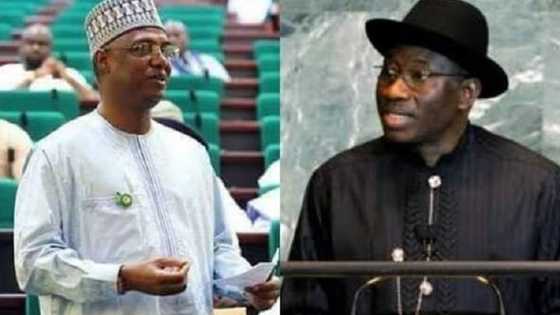 Zaben 2015: Shagari ya nemi afuwa na taimakawa wajen rusa Gwamnatin Jonathan