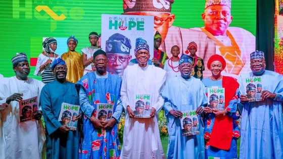 "Suspend spending limit": Tinubu's 10 economic proposal that received praises, knocks from Nigerians, experts