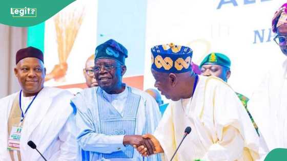 Yayin da ake jita jitar sauya shi, Ganduje ya fadi abin da Tinubu ya yi da kowa ya gaza