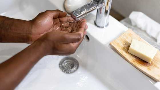 Five hygiene habits every family should practice daily
