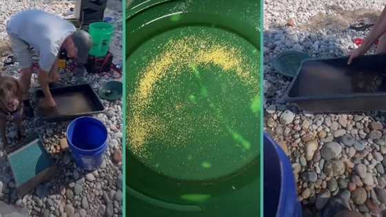 Leaked video shows secret spot where miner finds pure gold: "It costs a whole lot"