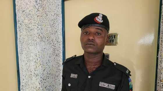 You are fired! Police dismiss officer for searching commuter’s phone