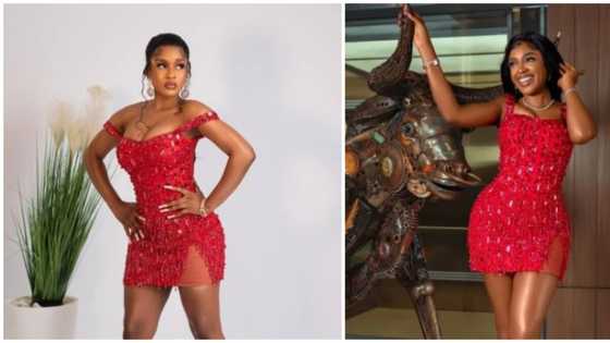 Celebrity twin moments: BBNaija star Phyna and actress Omoni Oboli spotted in same design