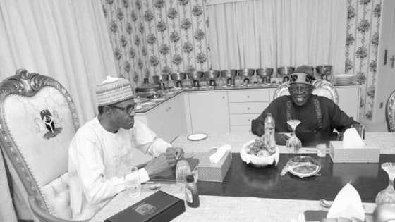 COVID-19: Bola Tinubu ya ba Gwamnati, Bankin CBN sirrin bunkasa tattali cikin sauki