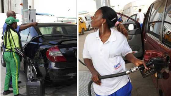 Fuel Subsidy Removal: Get Ready to Buy Petrol at N600 Per Litre, Stakeholders Warn Nigerians