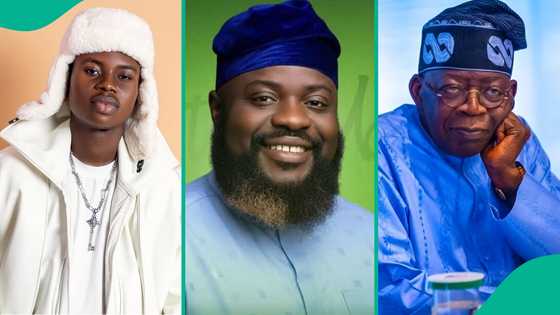 Peller opens up on how Tinubu supporter Naijashimadun allegedly attempted to recruit him