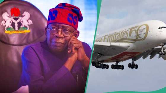 “We need to”: Tinubu to personally intervene to resolving UAE, Nigeria disagreement since 2022