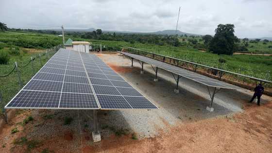 Green bonds offer hope, and risk, in Africa's climate fight