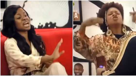 “You’re rude”: BBNaija’s Phyna slams Bella, as the pair get involved in a messy fight over food