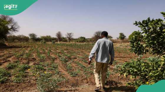 Farmer slumps, dies after hearing false alarm as his family makes request