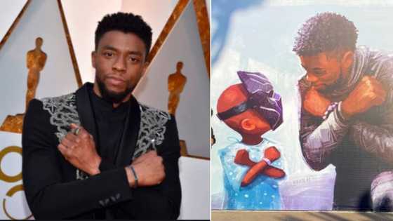 Late Chadwick Boseman honoured with beautiful Wakanda artwork in Disneyland