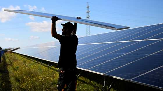 Clean energy investment rising despite economic uncertainty: IEA