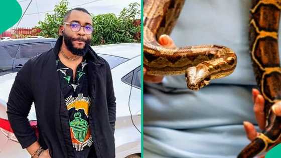 Nigerian man posts photo of alleged poison extractor, claims it can cure any venom