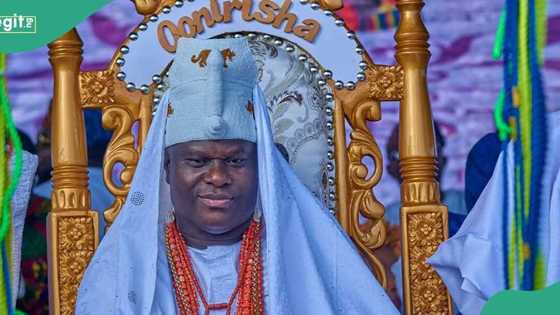 Did Ooni of Ife use real human head to perform rituals? Fact surfaces