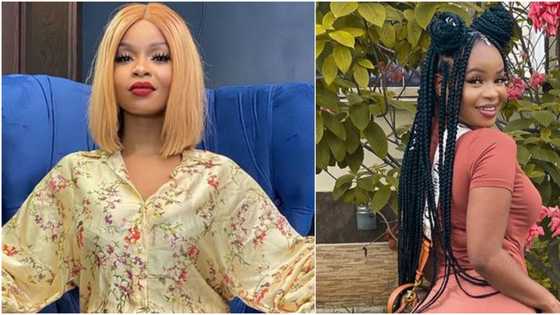 BBNaija reunion: Stop normalising shamelessness - Media personality says, asks if there are still decent girls