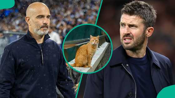Mysterious cat predicts Manchester United vs Manchester City Premier League clash