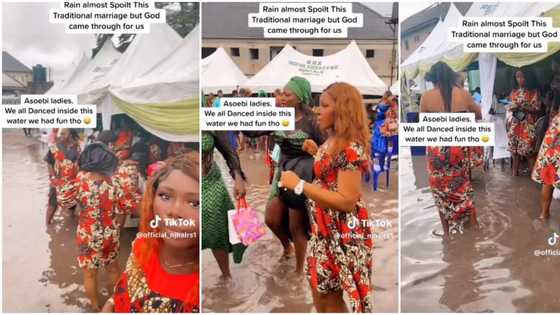 "The couple almost gave up": Asoebi ladies defy heavy rain, dance at flooded venue for bride in viral video