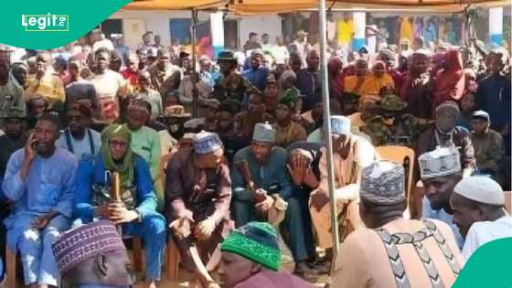 Karfin hali: 'Yan bindiga sun gabatar da manyan bukatu 3 kan sulhu a Katsina