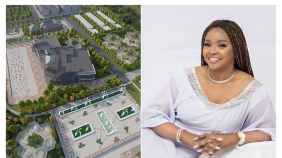 Firm announces first water display park in Lagos, to be sited in highbrow area