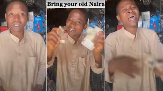 "Please bring all your old naira notes to me": Nigerian man cries out, pleads with netizens in viral video