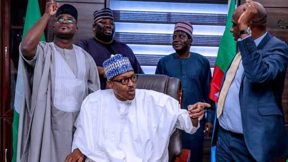 Mixed reactions trail House of Reps members' call for parliamentary government