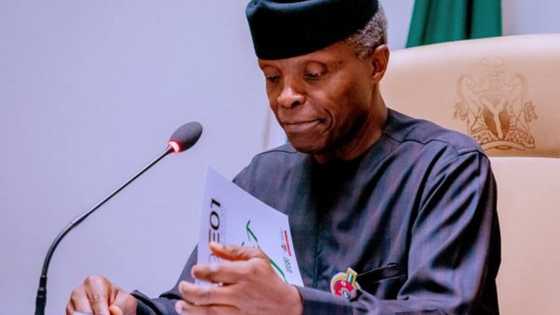 Gazawar shugaban kasa wurin bada tsaro abu ne da zai sa tsigesa, Osinbajo a 2015