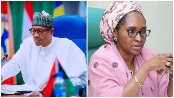 FG borrows another N368bn from World Bank, promises to distribute all to 50m qualified Nigerians in June
