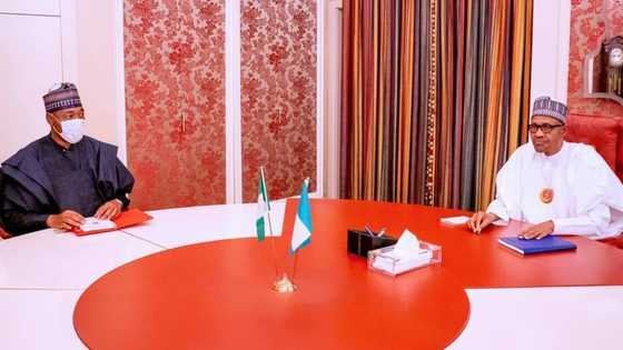 Why some of Buhari's promises in 2020 were not fulfilled - Adesina reveals, insists security better now than in 2015