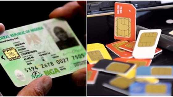 NIN enrollment: FG updates Nigerians on registration with BVN