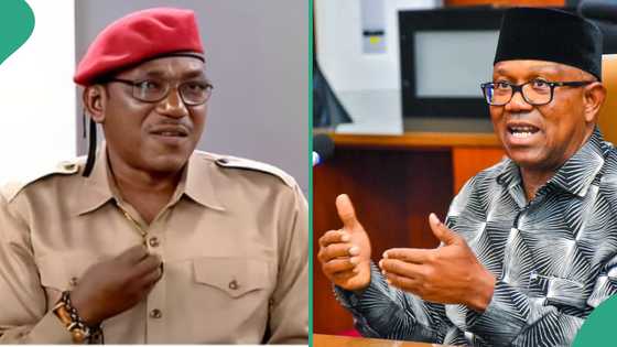 “What Peter Obi told me about his single term pledge,” Buhari’s ex-minister speaks