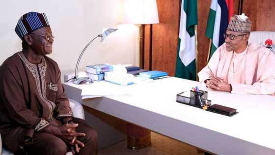 Shugaba Buhari Ya Zargi Gwamnan PDP da Yi wa Duniya Karya Kan Batun Tsaro