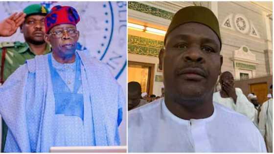 Jerin Mutum 12 Da Shugaba Tinubu Yakamata Ya Bincika Kan Wawure Dukiyar Kasa, Tsohon Dan Majalisa Ya Bayyana