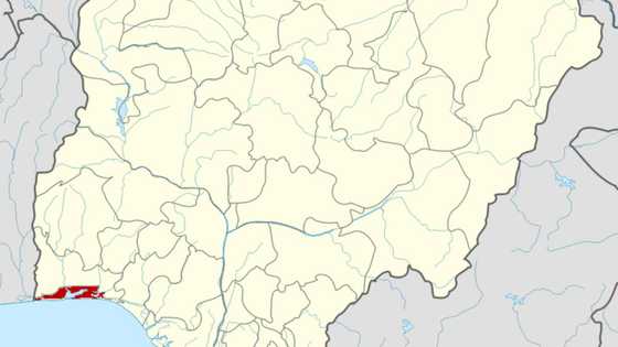 Chaos as herdsmen kill one person in Lagos over death of cow, police give update