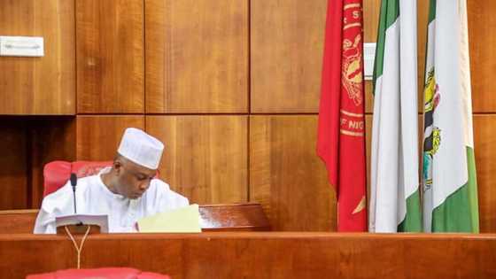 Saraki ya bada labarin zamansa Shugaban Majalisa a 2015 duk da adawar Bola Tinubu a APC